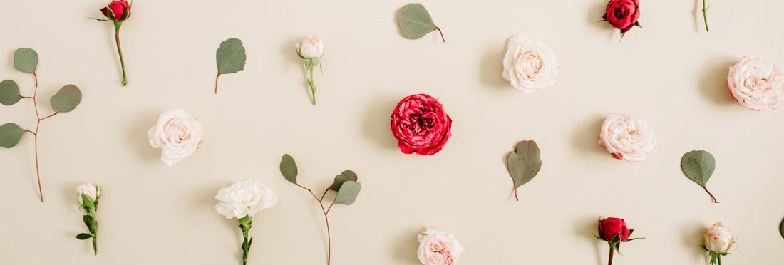 Fragrance Family Basics - Scentsorie