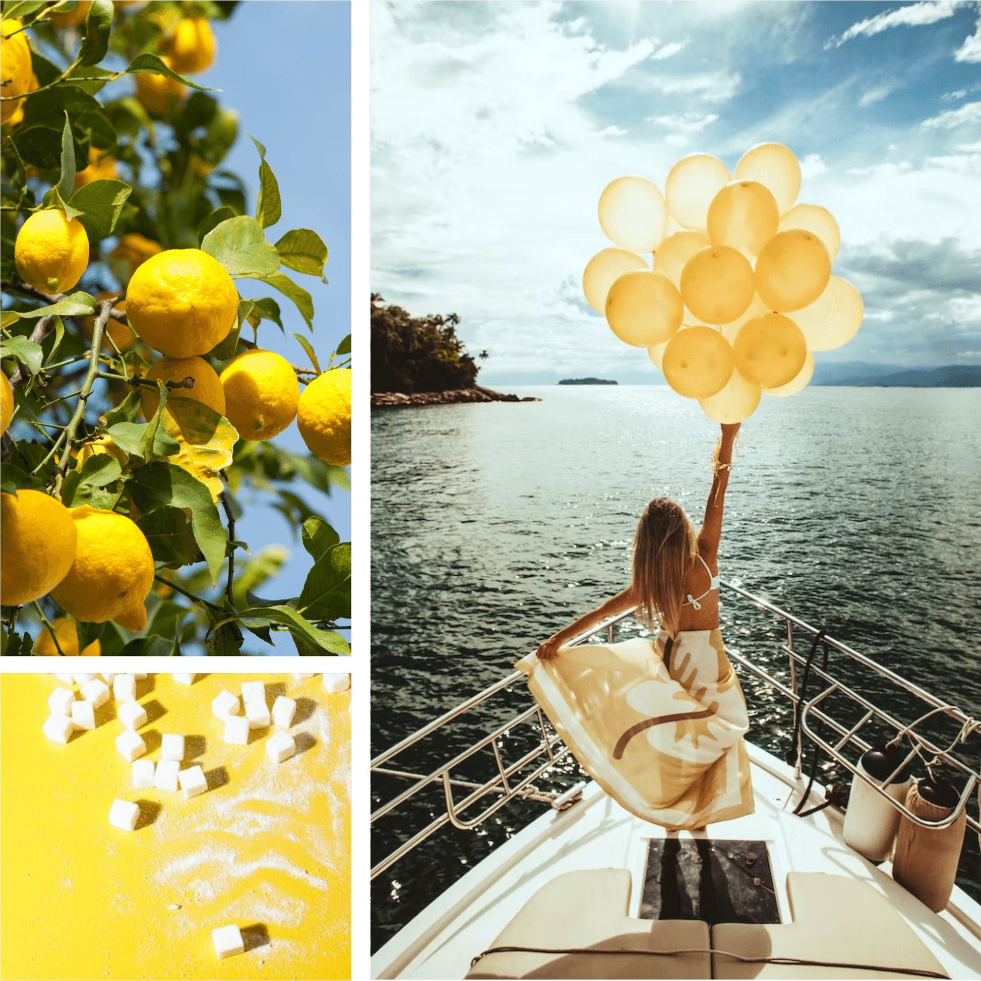 Amalfi Lemon Fragrance Oil - Fragrance Oil - Scentsorie