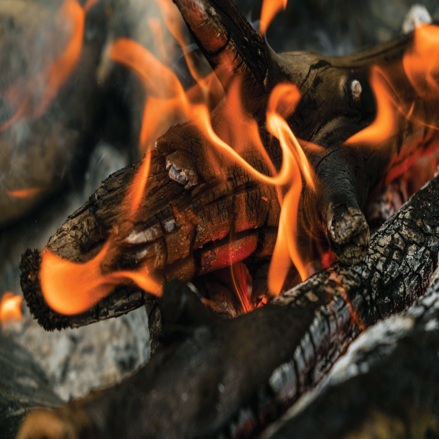 Embers + Smoke Fragrance Oil - Fragrance Oil - Scentsorie