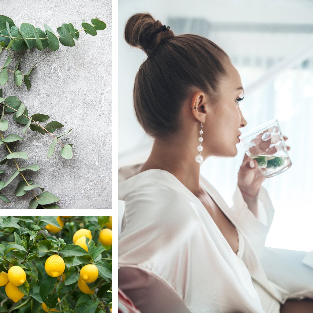 Eucalyptus + Lemon Mint Fragrance Oil l Scentsorie – Scentsorie