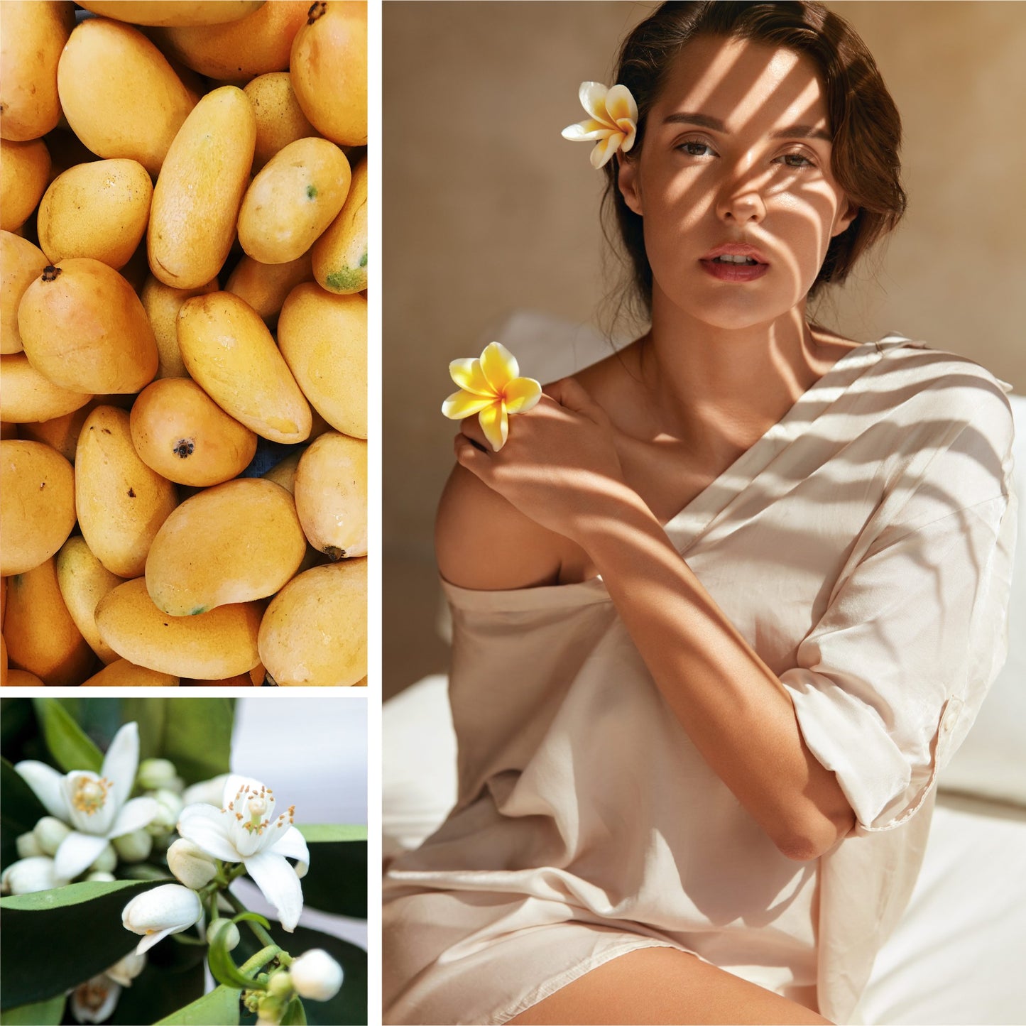 Mango Skin + Neroli Fragrance Oil - Fragrance Oil - Scentsorie