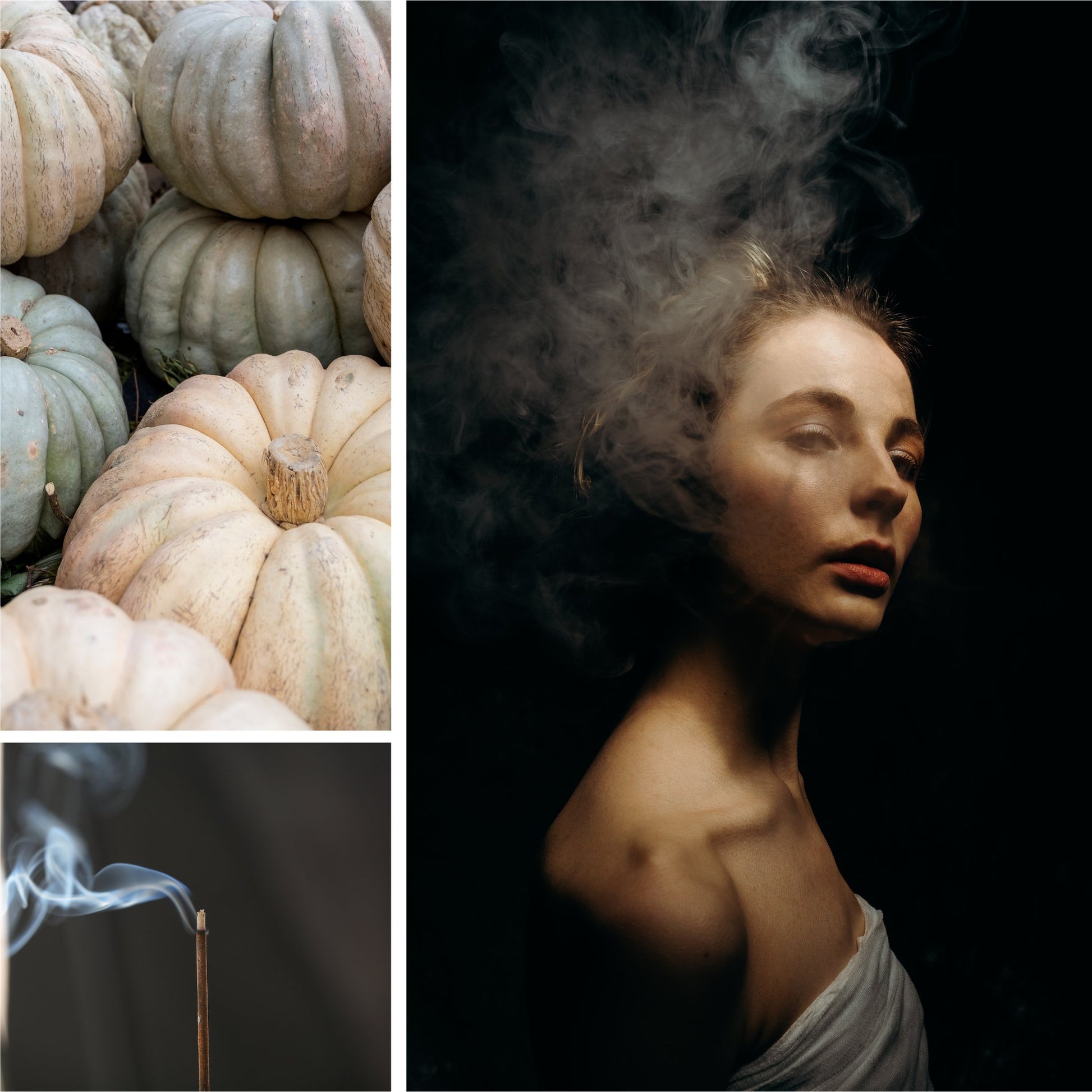 Spiced Pumpkin + Incense Fragrance Oil - Fragrance Oil - Scentsorie