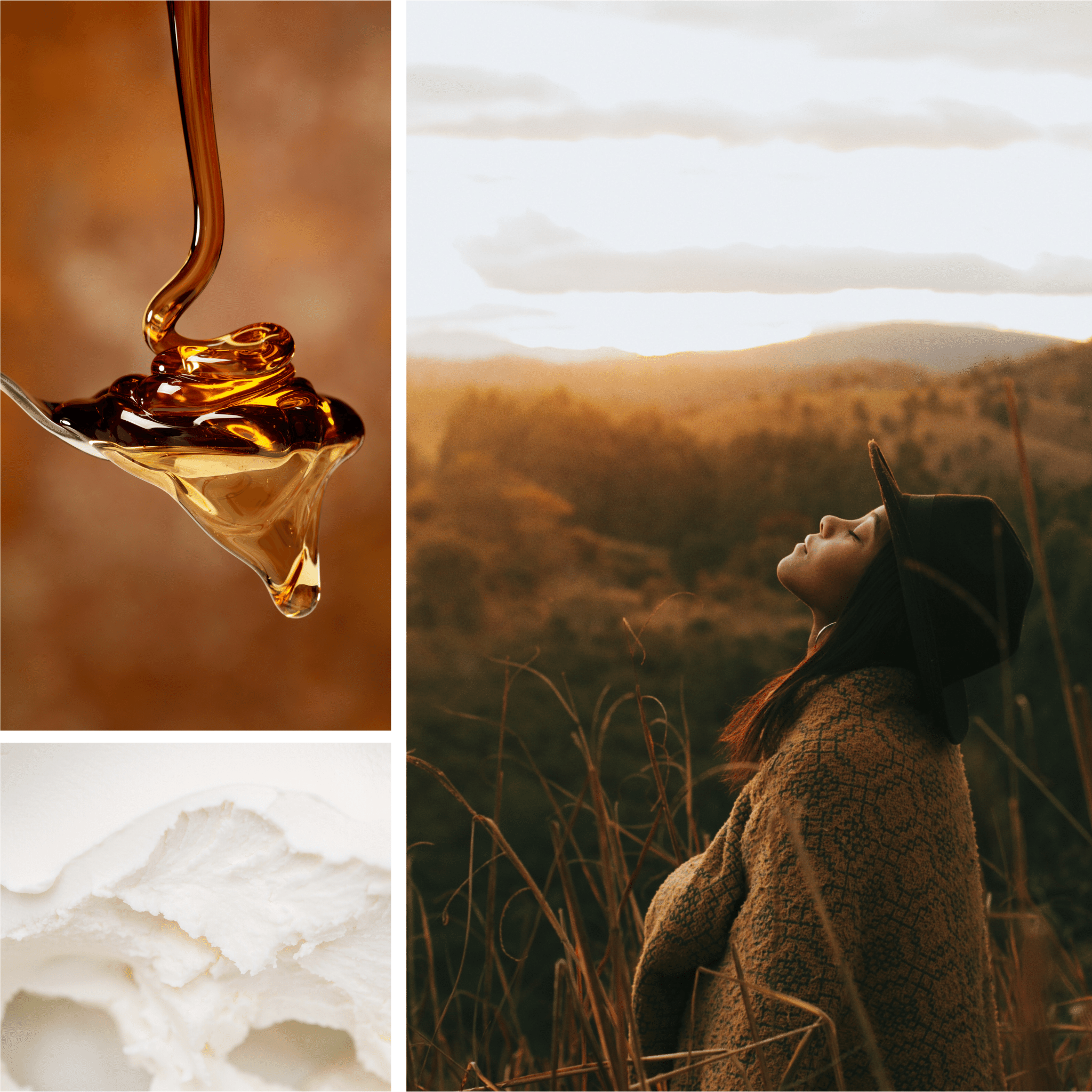 Maple + Sweet Cream Fragrance Oil