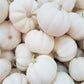 White Pumpkin Marshmallow gourmand fragrance oil