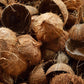 Coconut Husk Fragrance Oil