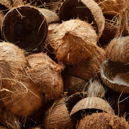 Coconut Husk Fragrance Oil