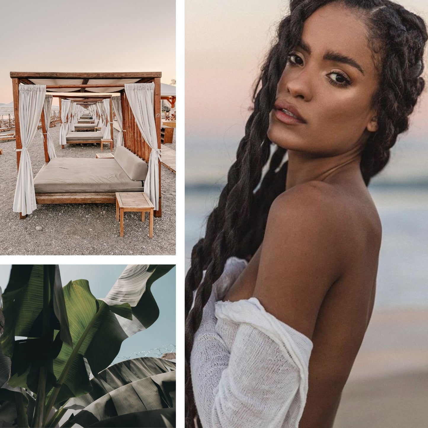 Couture Cabana Fragrance Oil