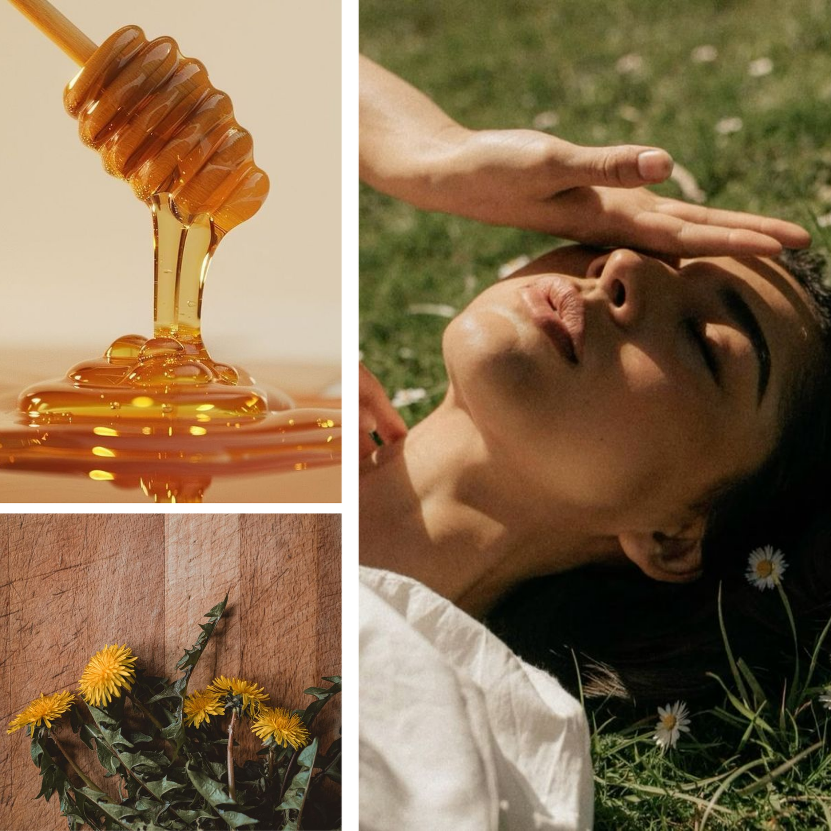 Dandelion Honey Fragrance Oil