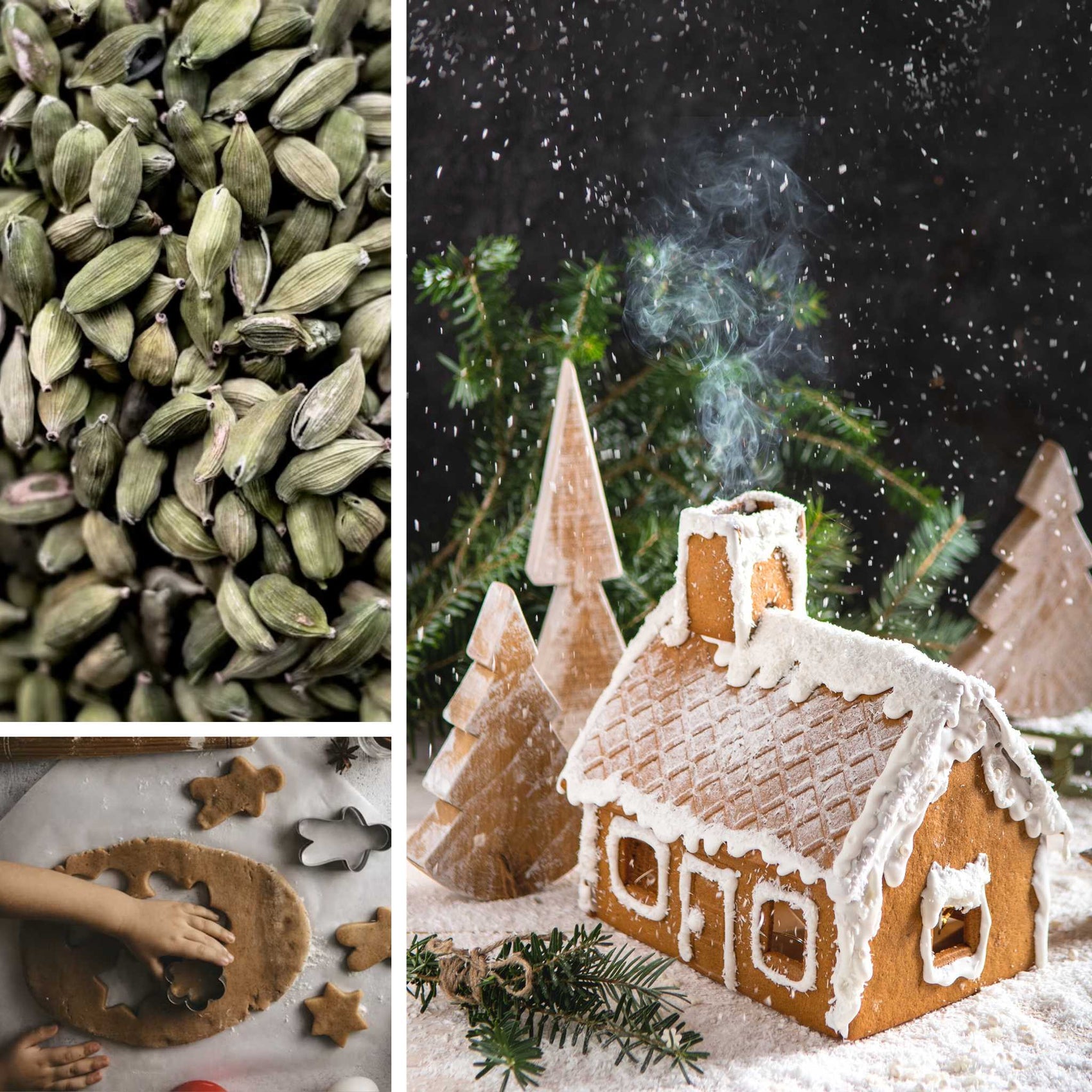 Gingerbread + Cardamom Fragrance Oil