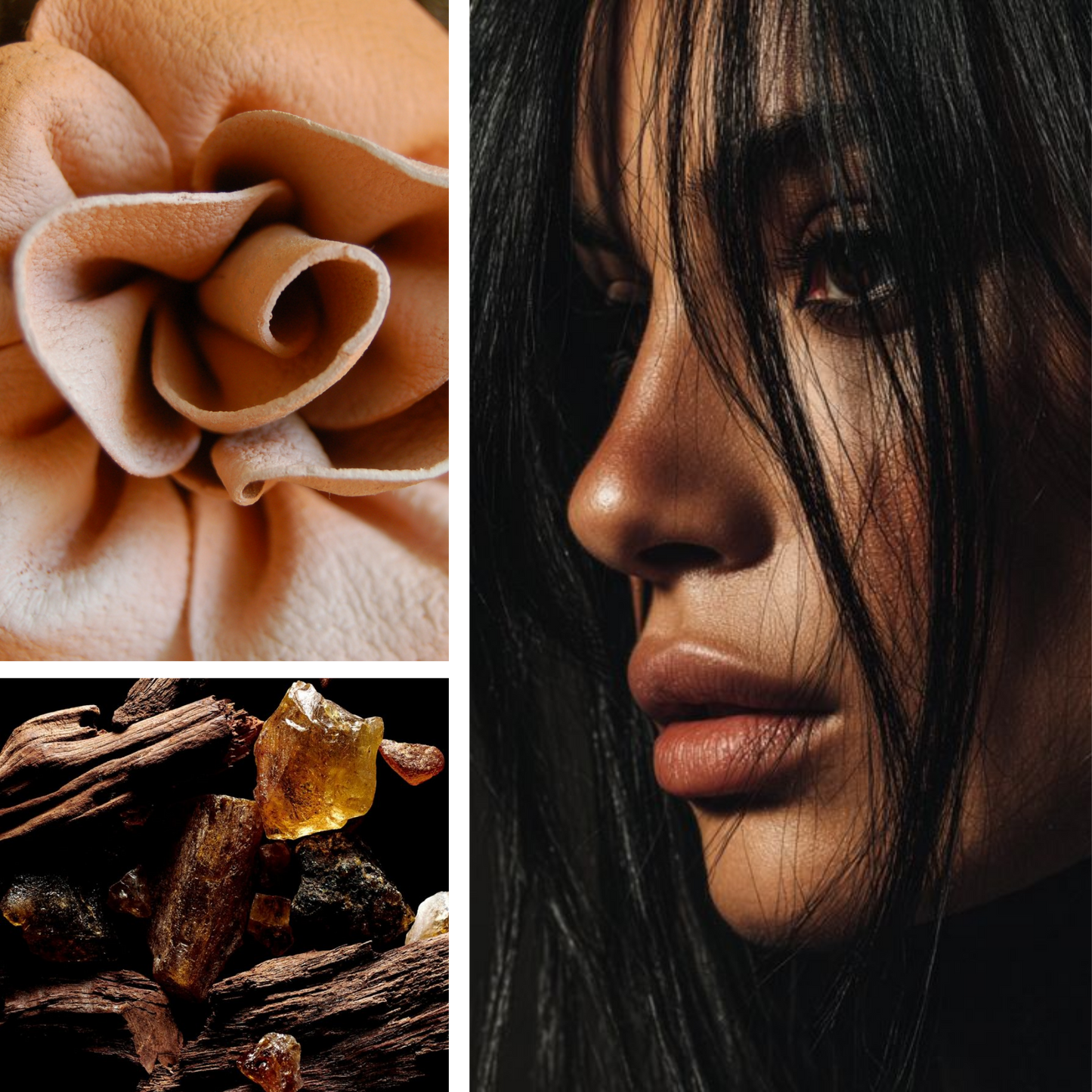 Leathered Petals Fragrance Oil