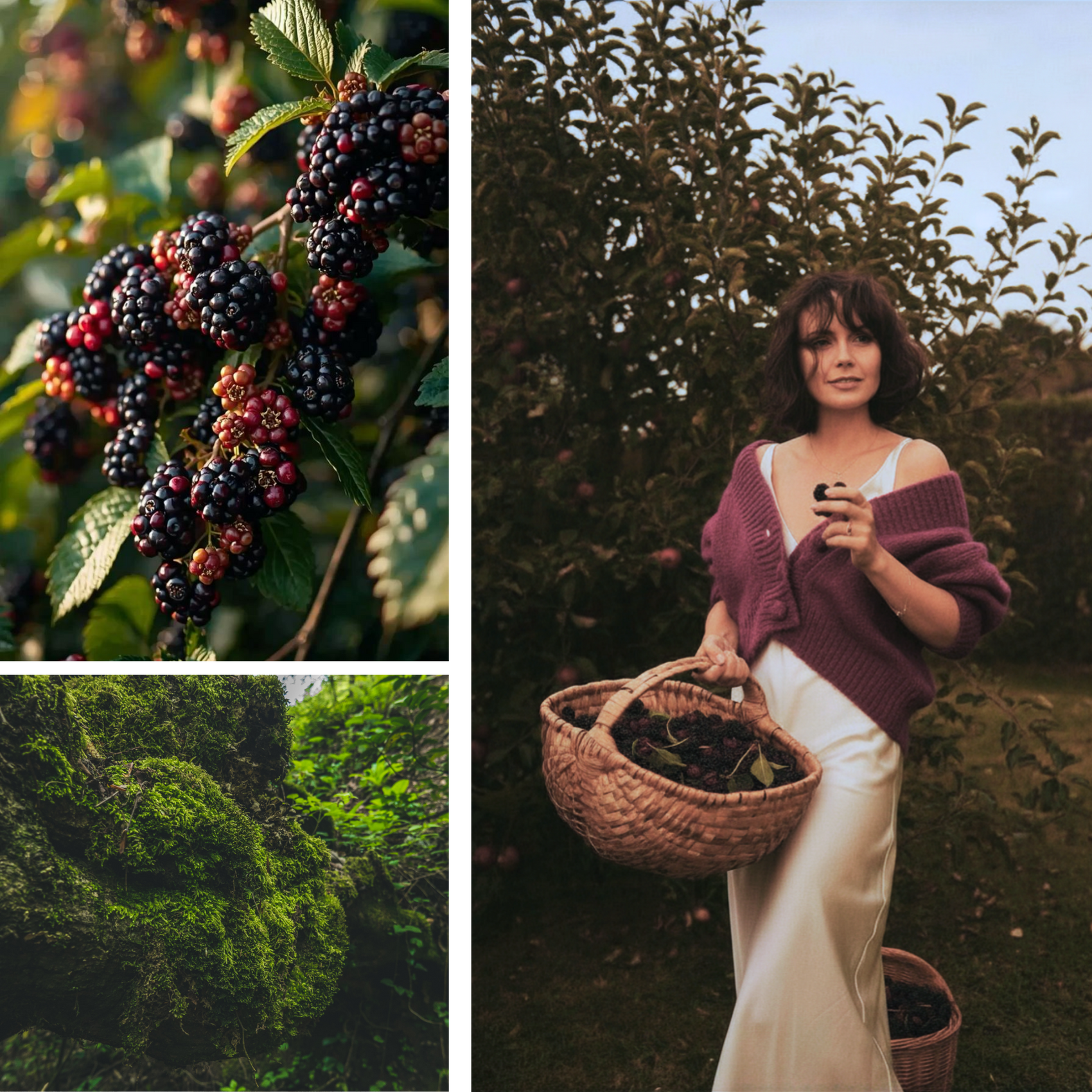 Mulberry Meadow Fragrance Oil