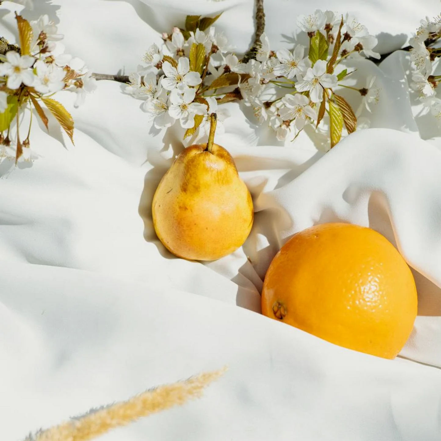 Neroli Blossom + Yuzu Fragrance Oil
