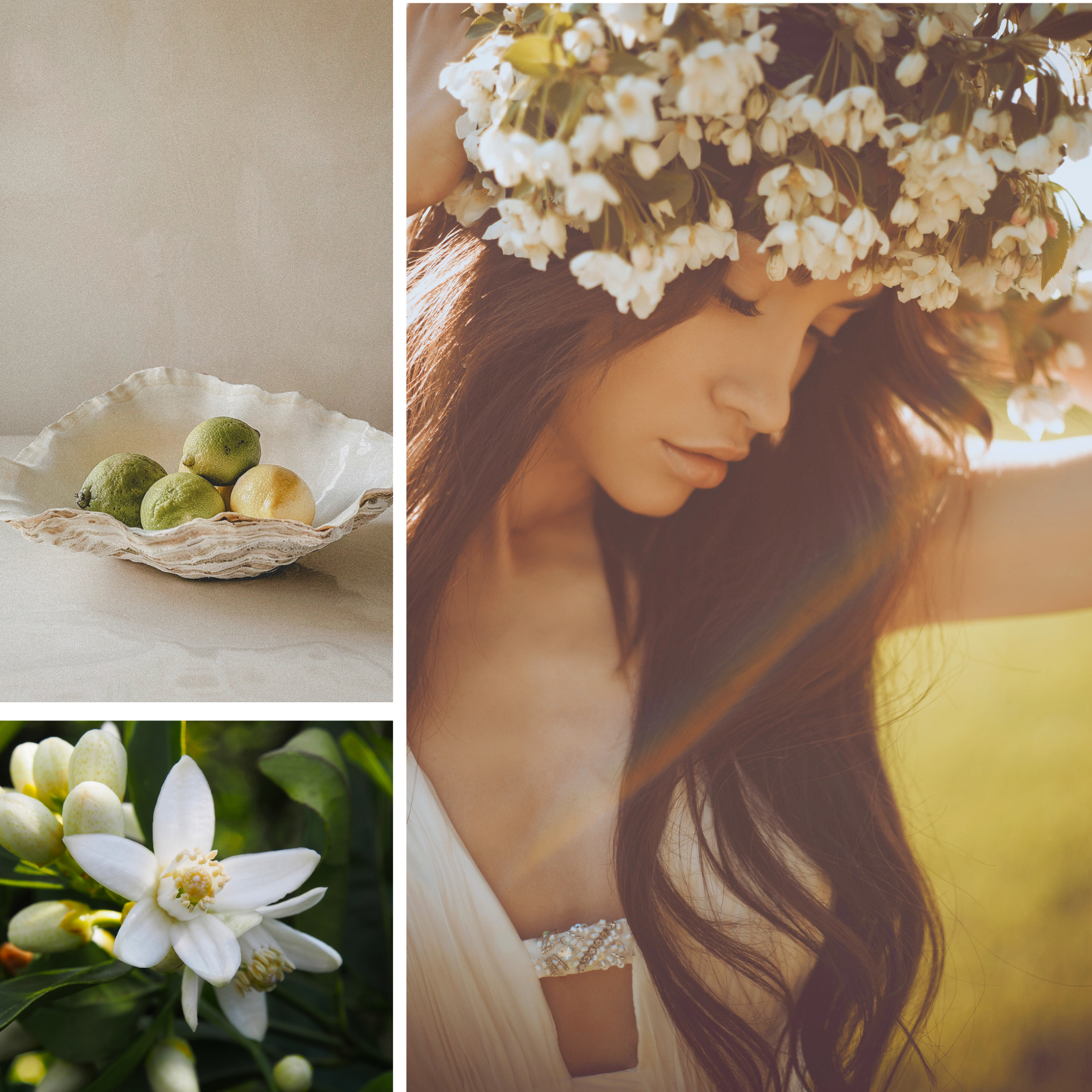 Neroli Blossom + Yuzu Fragrance Oil