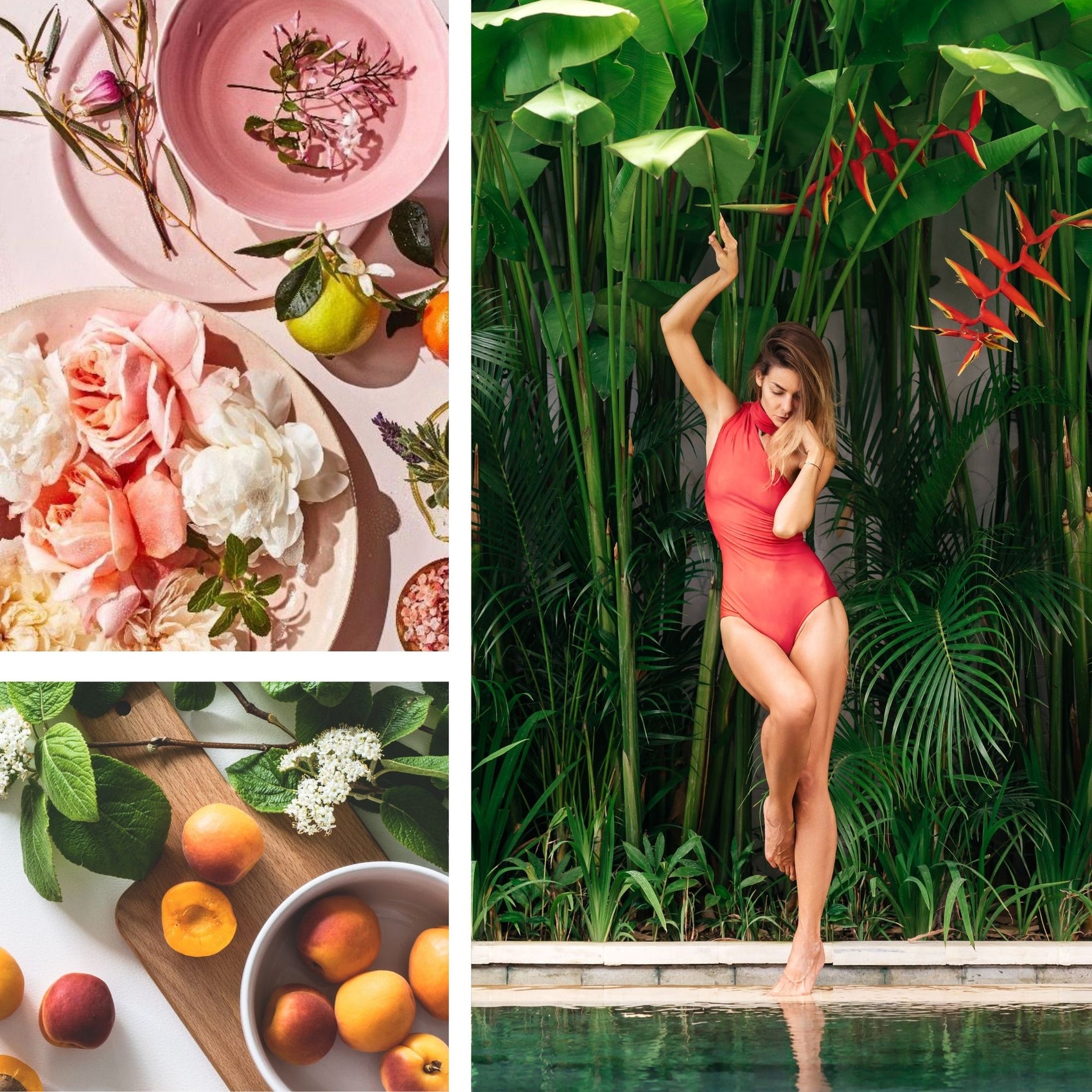 Paradise Petals Fragrance Oil