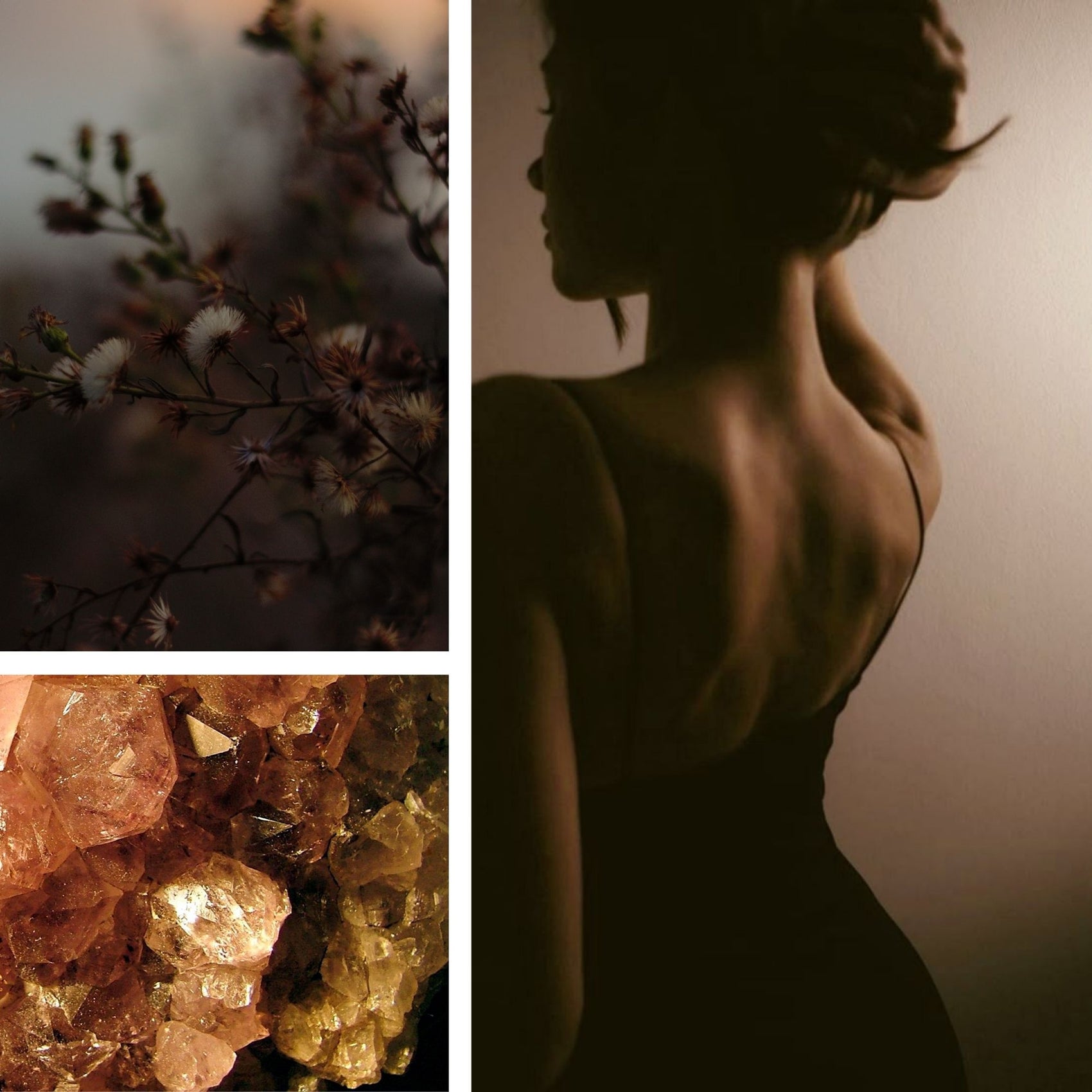 Summer Musk Fragrance Oil