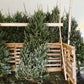 Fresh Cut Evergreen Fragrance Oil