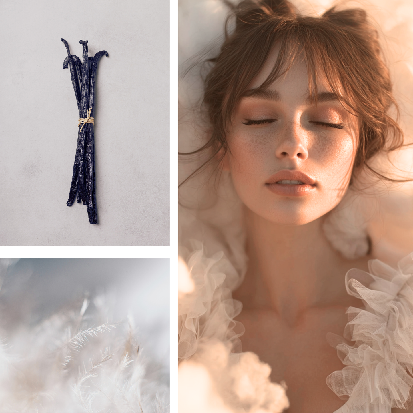 Vanilla Clouds Fragrance Oil