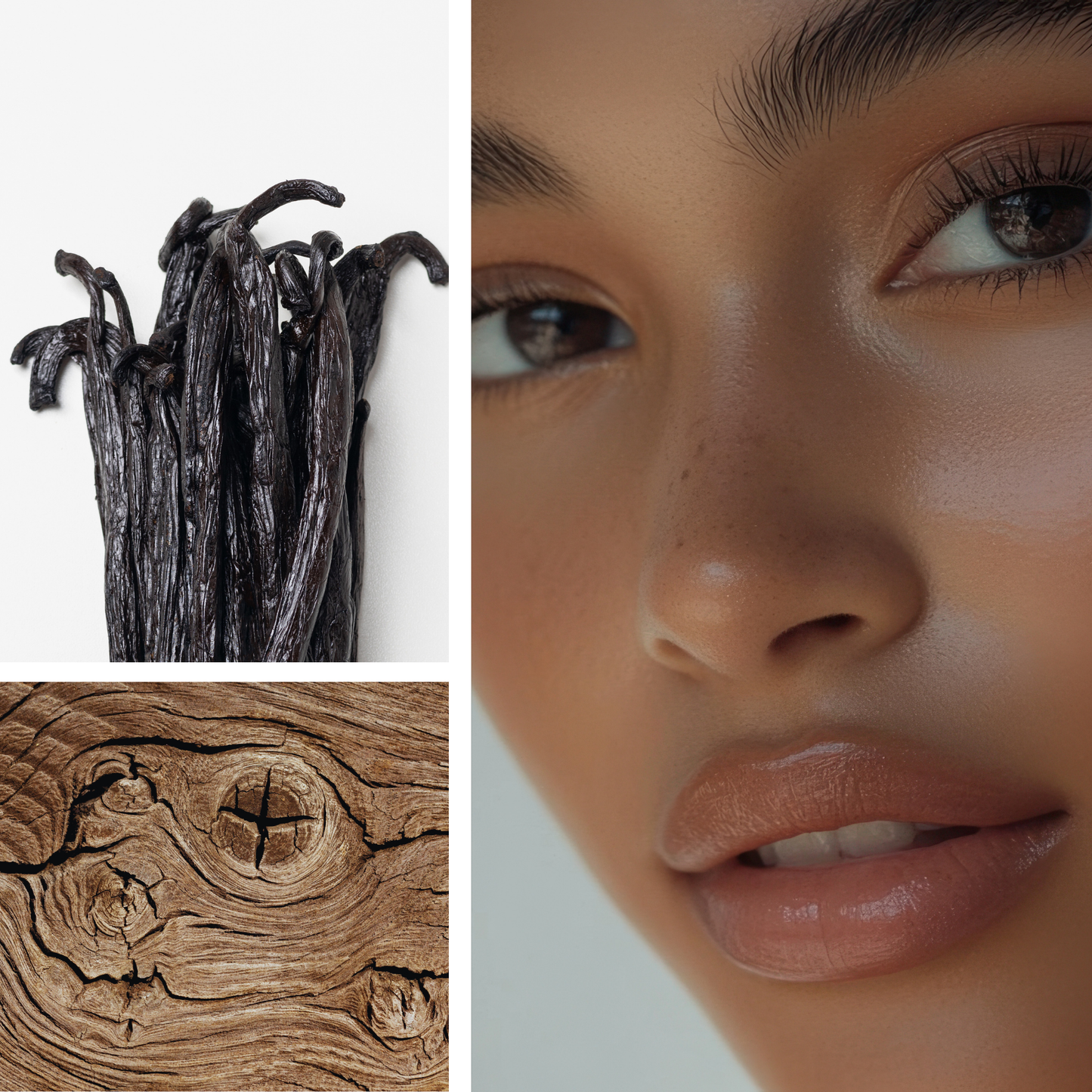 Vanilla Vixen Fragrance Oil