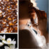 Amberwood + Jasmine Fragrance Oil - Fragrance Oil - Scentsorie