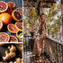 Blood Orange + Ginger Fragrance Oil - Fragrance Oil - Scentsorie