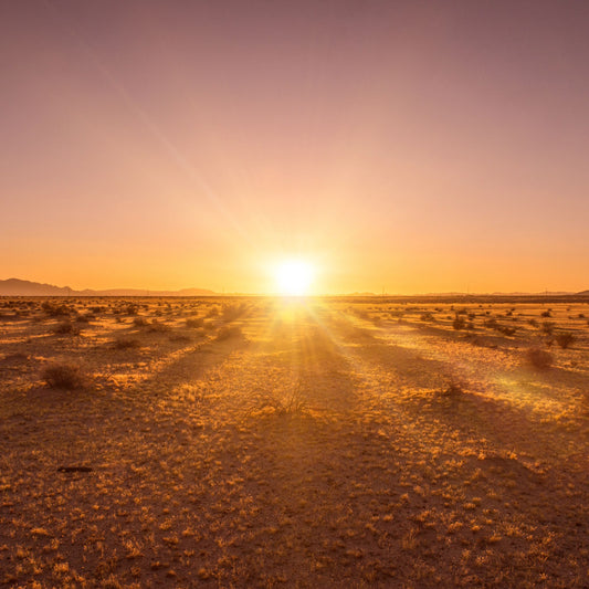 Desert Sun Fragrance Oil