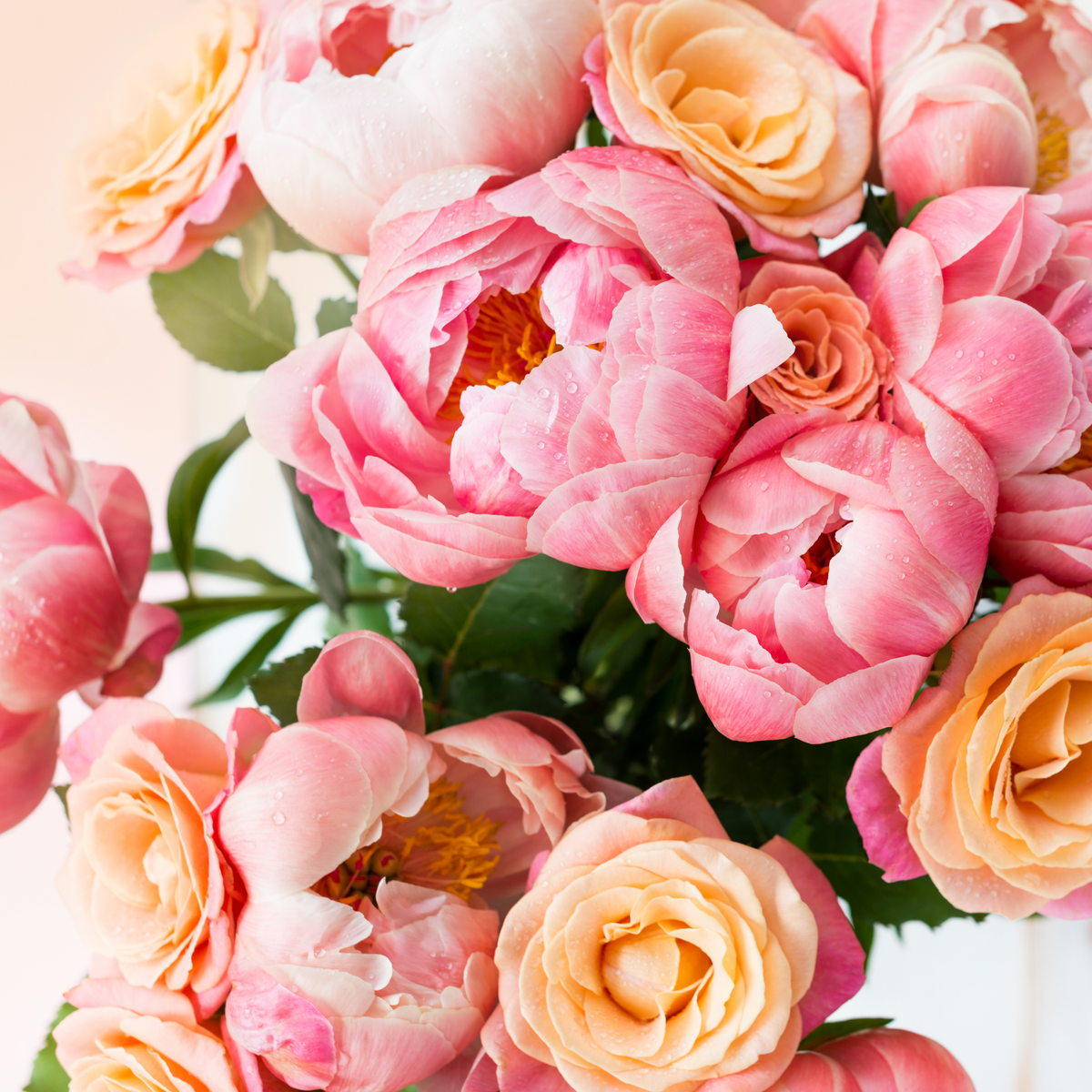 luxury floral fragrance oils for candle, soap, and perfume making