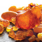 Golden Amber + Santal Fragrance Oil - Fragrance Oil - Scentsorie