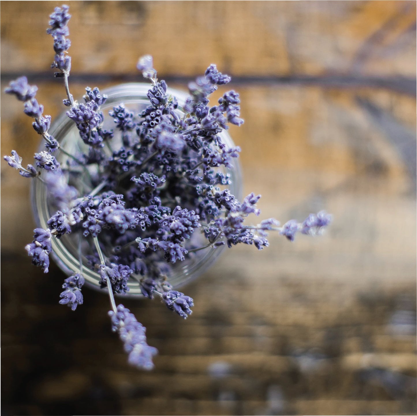 Lavender + Ebony Woods Fragrance Oil - Fragrance Oil - Scentsorie