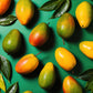 Mango Skin + Neroli Fragrance Oil - Fragrance Oil - Scentsorie