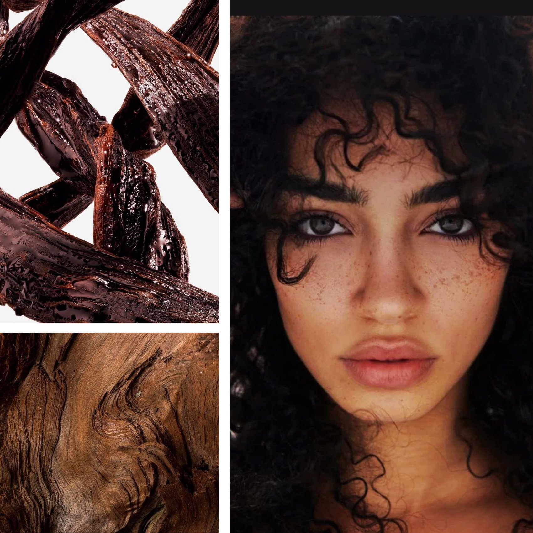 Vanilla Vixen Fragrance Oil