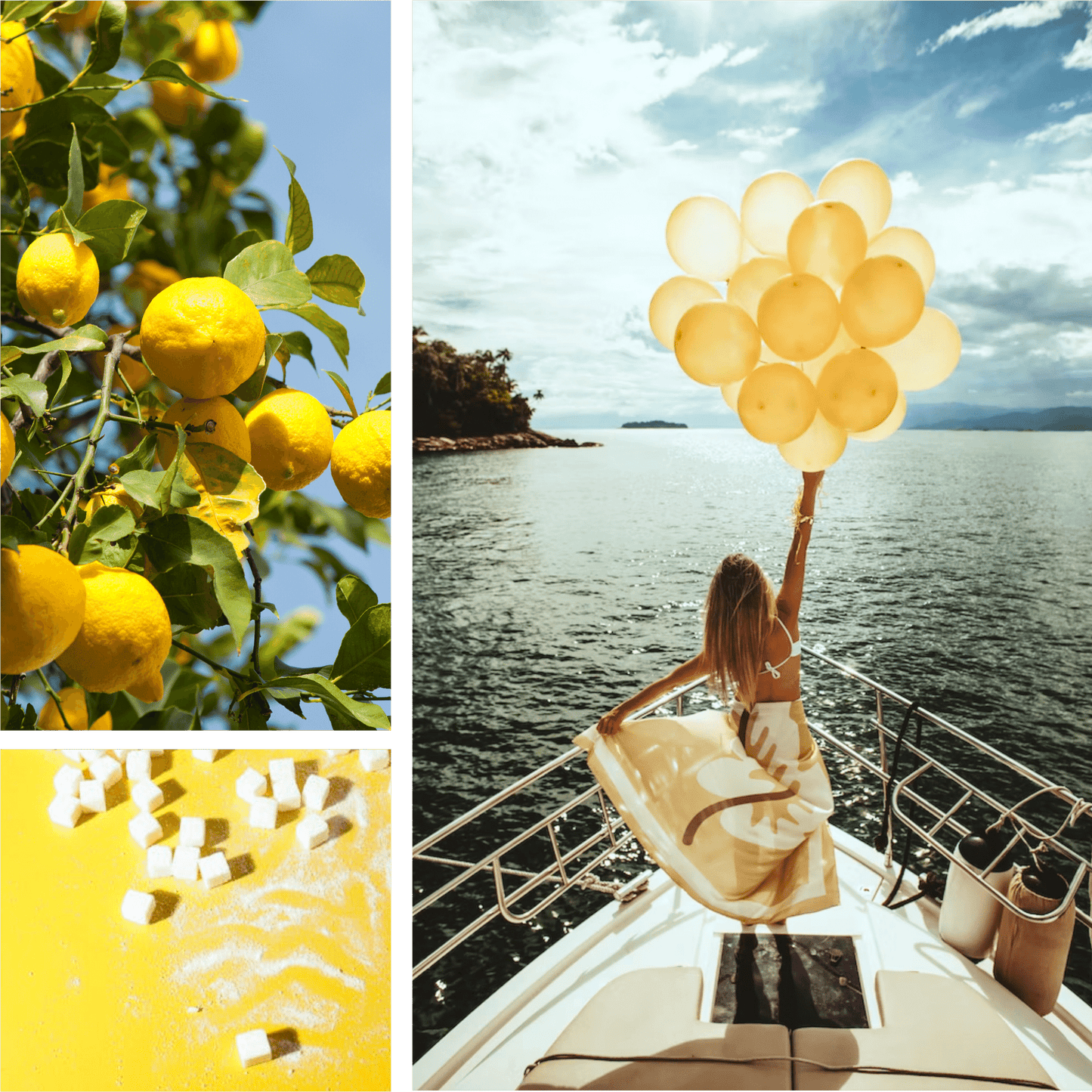 Amalfi lemon and sugar fragrance oil