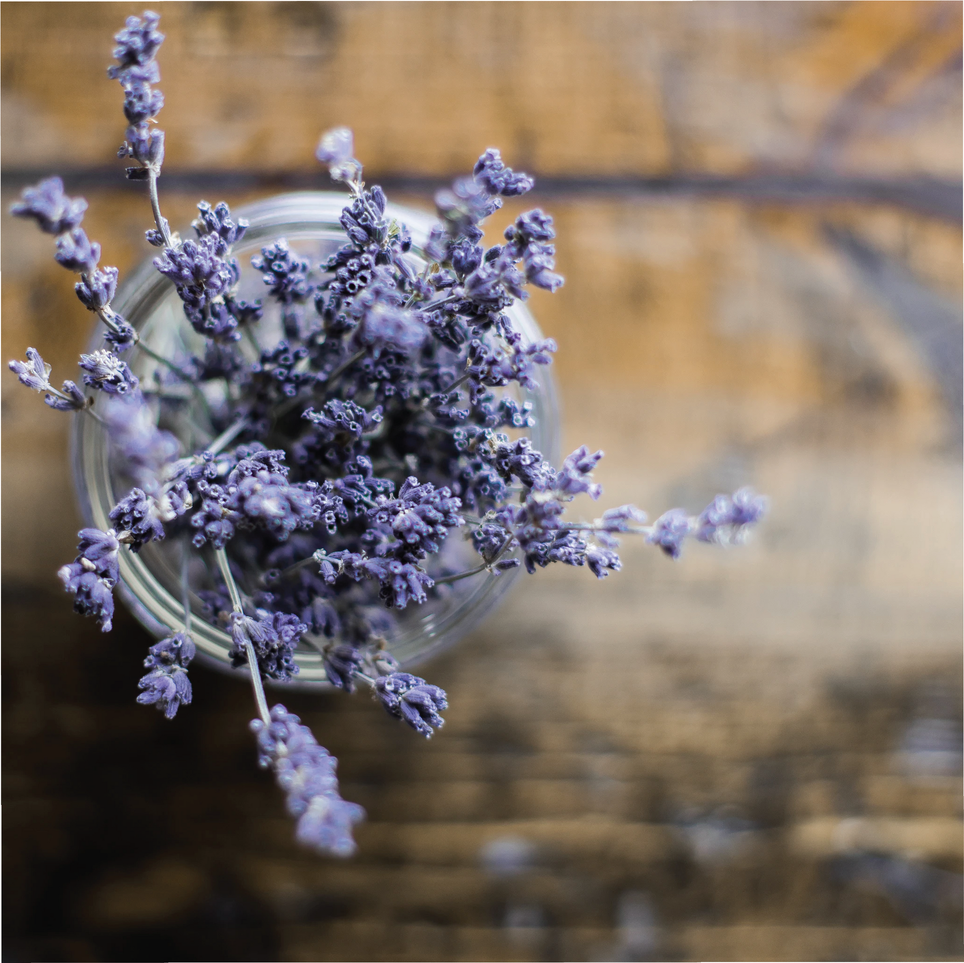 Lavender Cade Wood floral woody fragrance oil