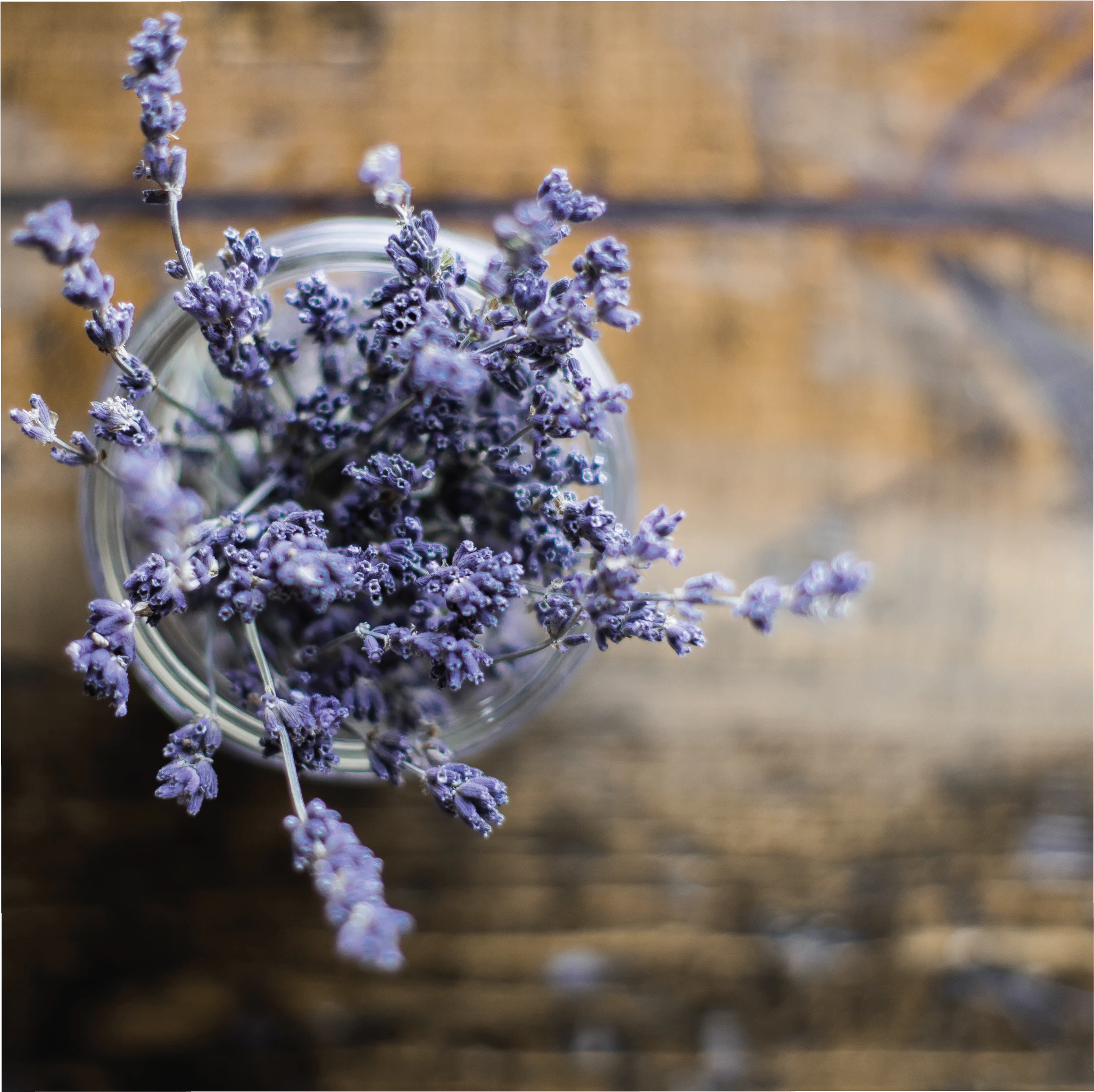 Lavender Cade Wood floral woody fragrance oil